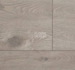 Ламинат Alsafloor Solid Plus ДУБ ЛЬНЯНОЙ 536 фото 1 | FLOORDEALER